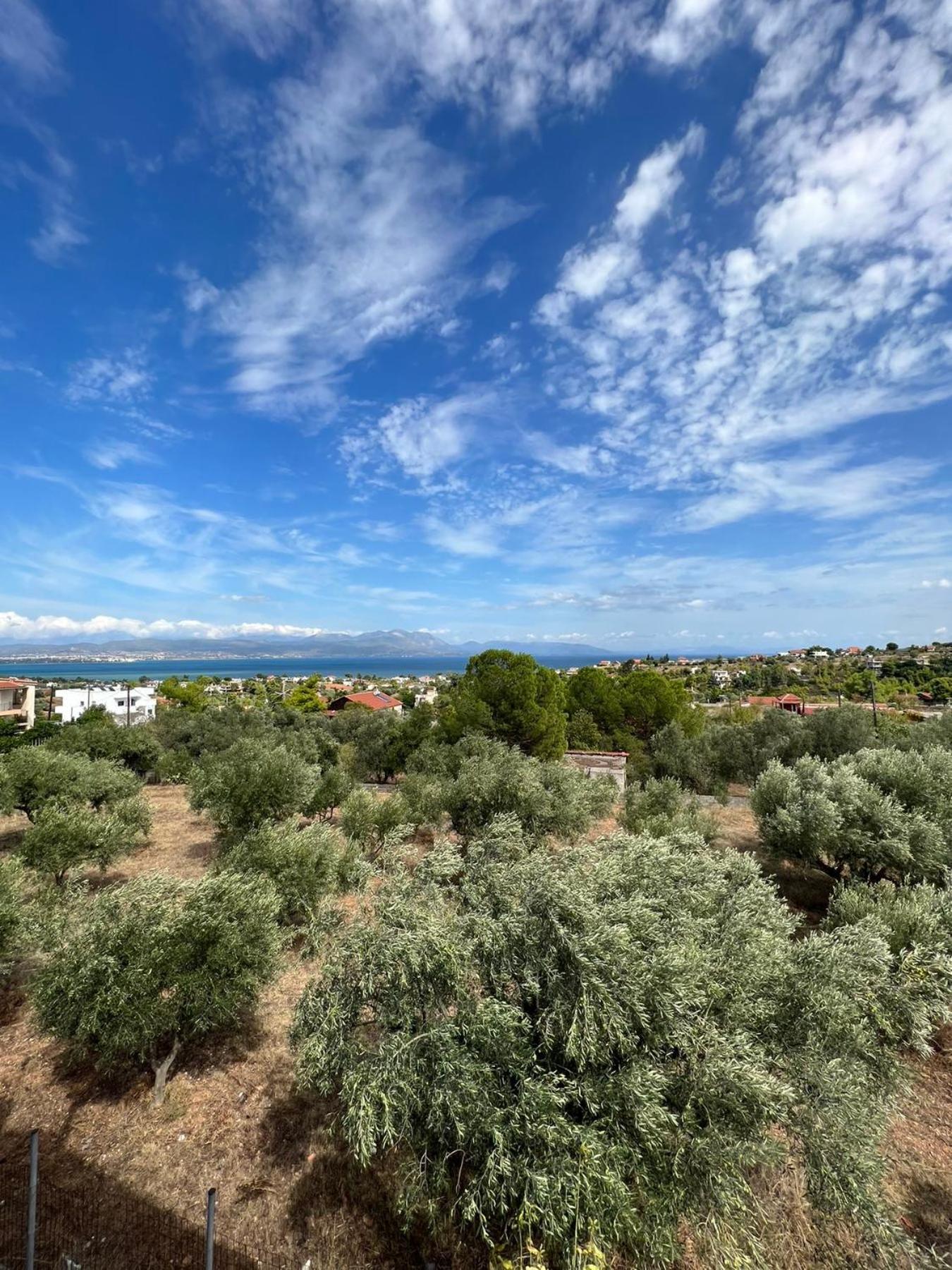 Xenia'S Seaview House Villa Paralia Avlidhos Eksteriør billede